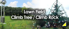 Lawn Field / Climb Tree / Climb Rock